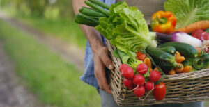 Agricultura Sustentable
