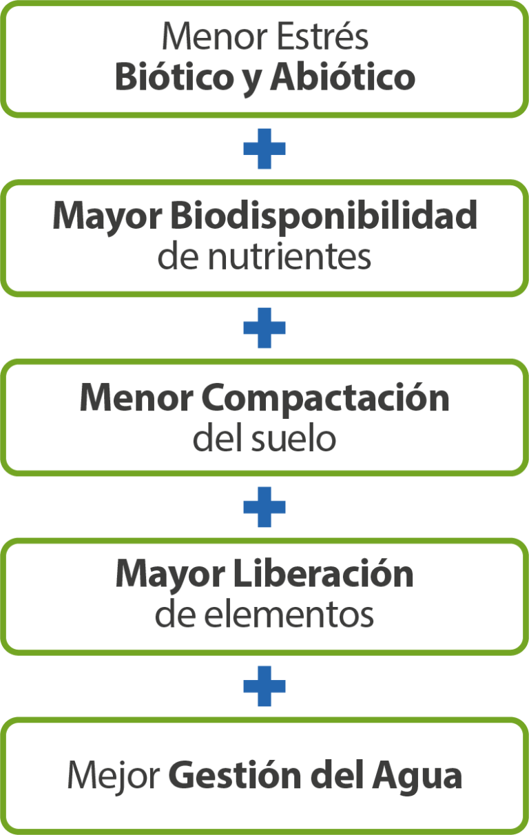 Fórmula de Productividad de Silgo